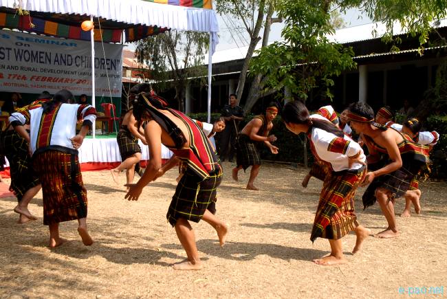 Programme on Violence against women and children :: February 2010