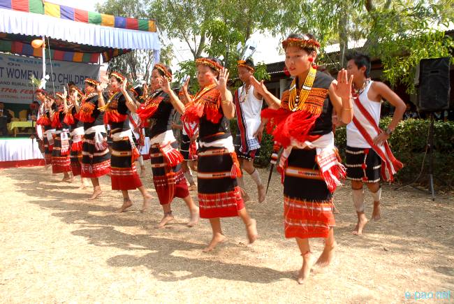Programme on Violence against women and children :: February 2010