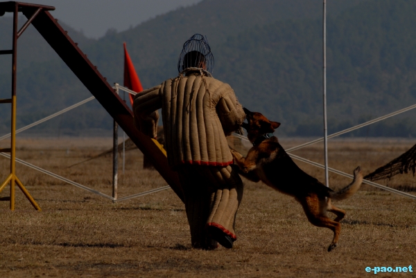 62nd Army Day at Koirengei :: January 15 2010