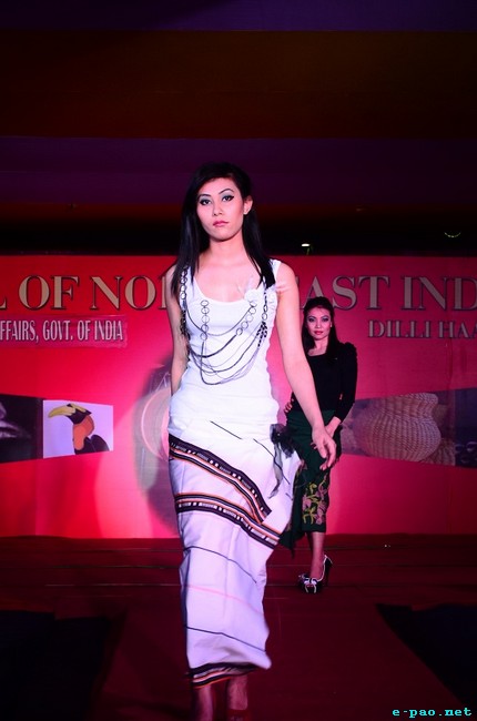Fashion Show at The Carnival of North East India at Dilli Haat, Pitampura, New Delhi :: 27 february, 2012