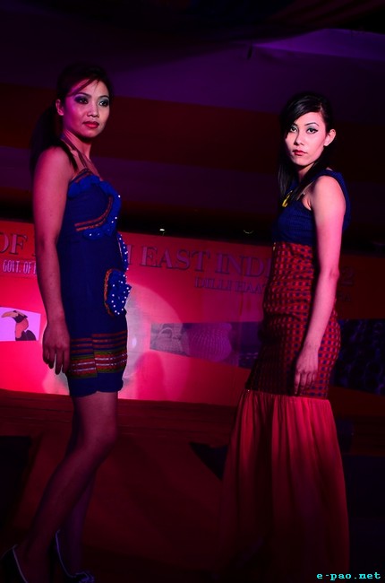 Fashion Show at The Carnival of North East India at Dilli Haat, Pitampura, New Delhi :: 27 february, 2012