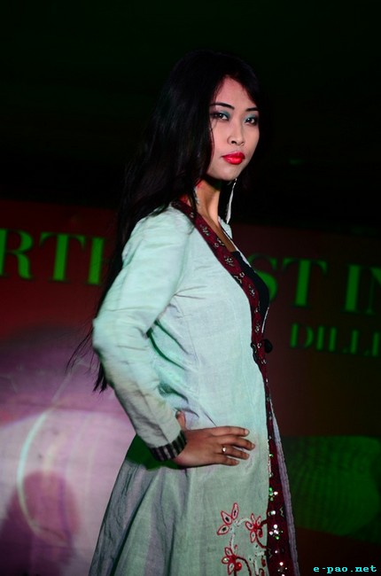 Fashion Show at The Carnival of North East India at Dilli Haat, Pitampura, New Delhi :: 27 february, 2012