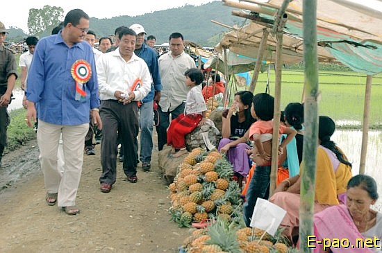 Pineapple festival at Andro :: July 20 2008