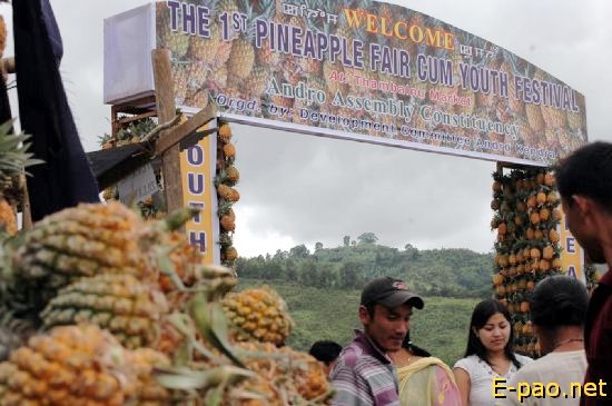 Pineapple festival at Andro :: July 20 2008