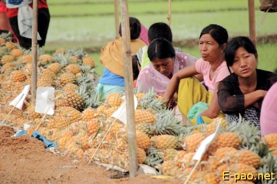 Pineapple festival at Andro :: July 20 2008