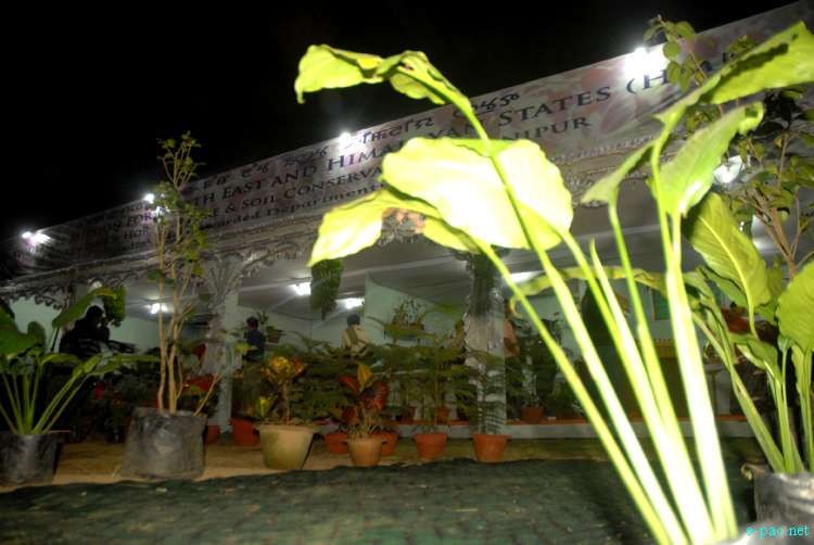 Opening day of Manipur Sangai Tourism Festival 2011 :: 21 November to 30 November