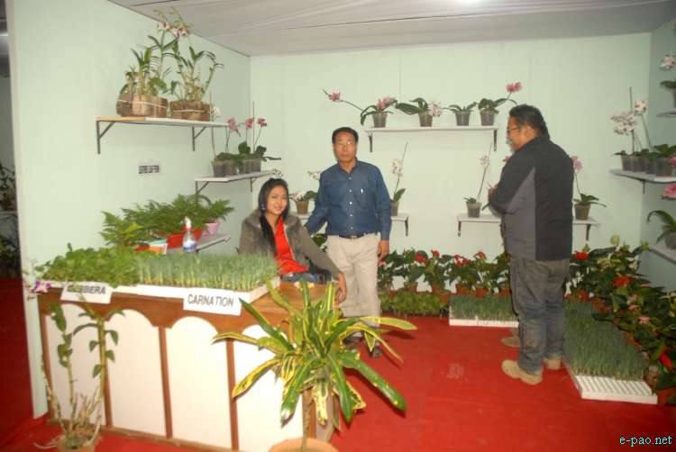 Opening day of Manipur Sangai Tourism Festival 2011 :: 21 November to 30 November