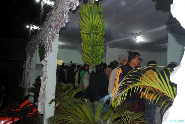 Flowers Display at Manipur Sangai Tourism Festival 2011 :: 30 November