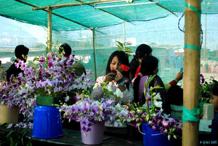 Flowers Display at Manipur Sangai Tourism Festival 2011 :: 30 November
