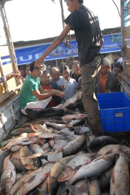 Ningol Chakkouba at Imphal - Fish Fair :: 07 November 2010