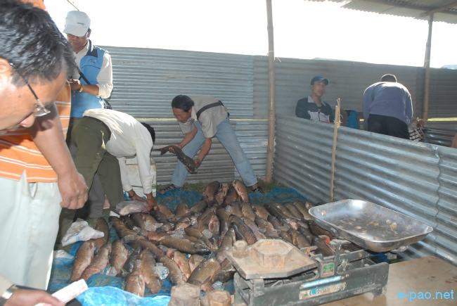 Ningol Chakkouba at Imphal - Fish Fair :: 07 November 2010