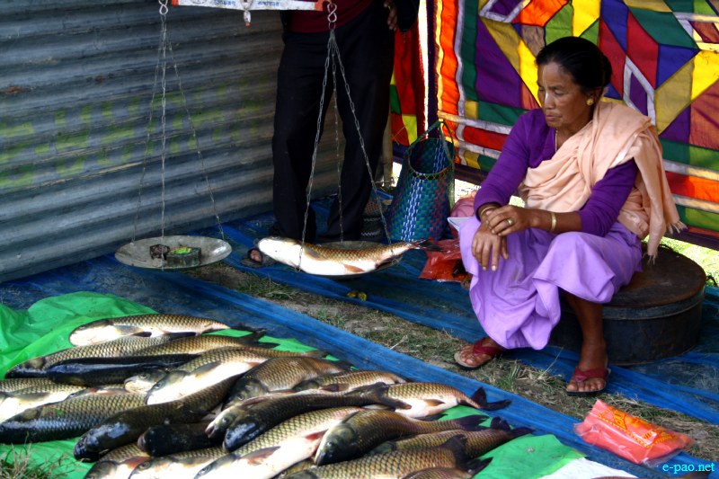 Fish Fair cum Fish crop competition, 2012  at  Hapta Kangjeibung, Imphal :: 14  November, 2012