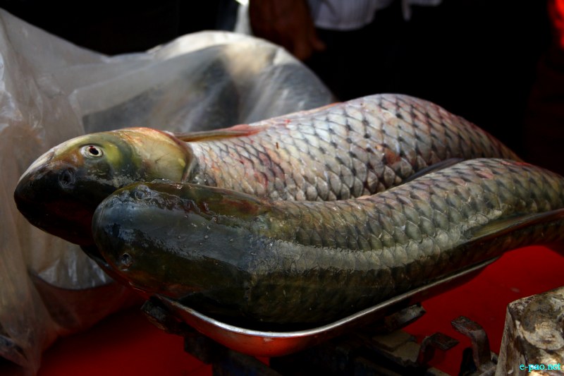 Fish Fair cum Fish crop competition, 2012  at  Hapta Kangjeibung, Imphal :: 14  November, 2012