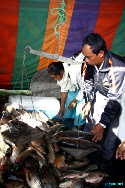 Fish Fair cum Fish crop competition, 2012  at  Hapta Kangjeibung, Imphal :: 14  November, 2012
