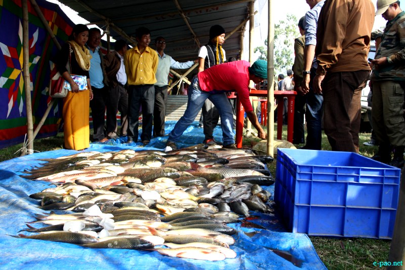 Fish Fair cum Fish crop competition, 2012  at  Hapta Kangjeibung, Imphal :: 14  November, 2012