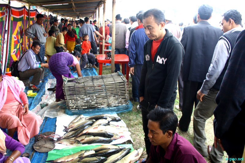 Fish Fair cum Fish crop competition, 2012  at  Hapta Kangjeibung, Imphal :: 14  November, 2012