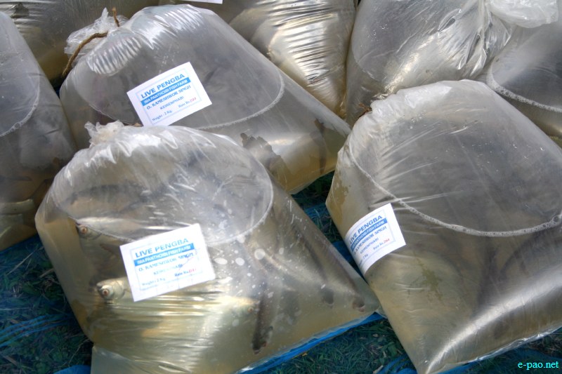  A plastic bag wraps fish at 'Fish Fair' at  Hapta Kangjeibung, Imphal on 14  November, 2012  