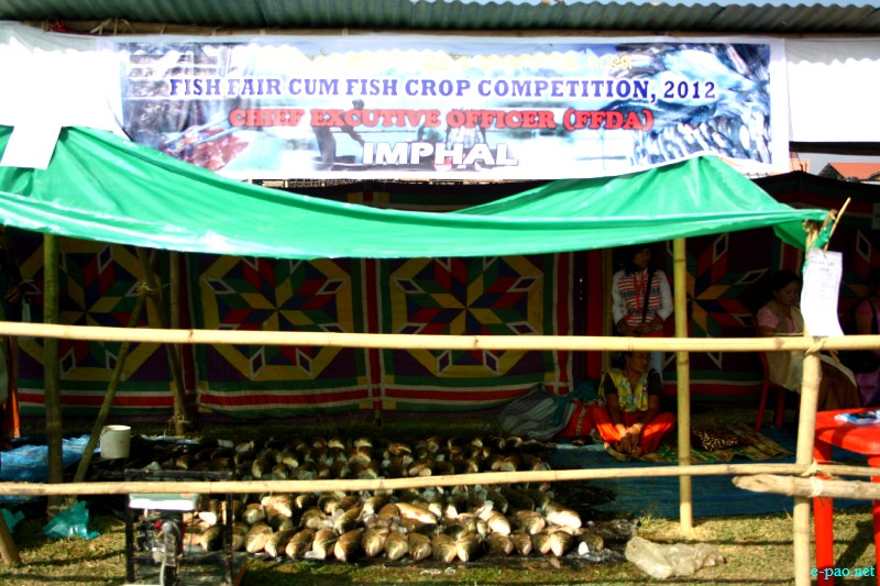 Fish Fair cum Fish crop competition, 2012  at  Hapta Kangjeibung, Imphal :: 14  November, 2012