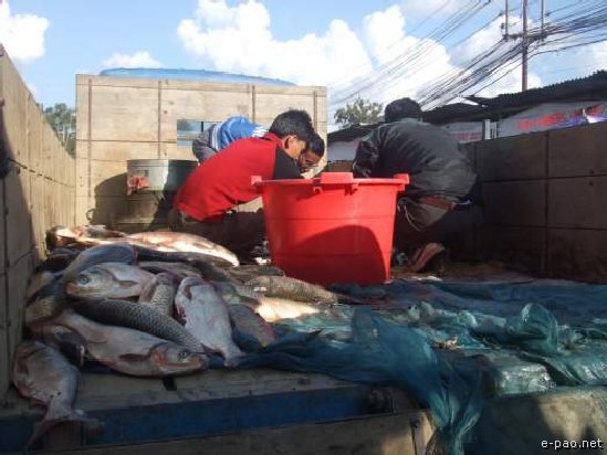 Fish Fair for Ningol Chakouba at Pologround, Imphal :: 10-11 November 2007