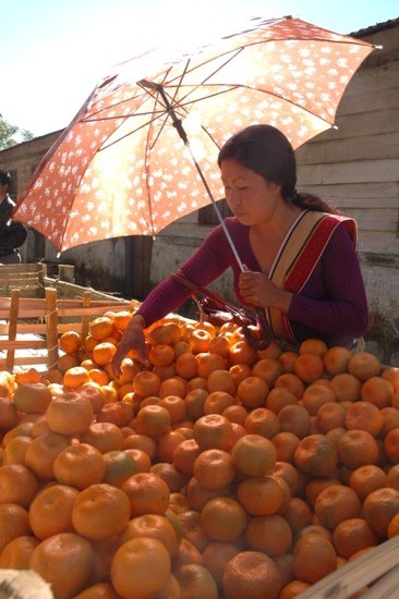 Miss Orange 2007 :: Tamenglong