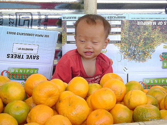 5th State Level Orange Festival 2008 :: Tamenglong