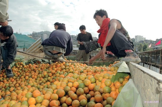 5th State Level Orange Festival 2008 :: Tamenglong