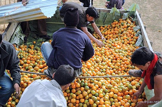 5th State Level Orange Festival 2008 :: Tamenglong
