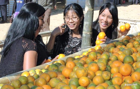 5th State Level Orange Festival 2008 :: Tamenglong