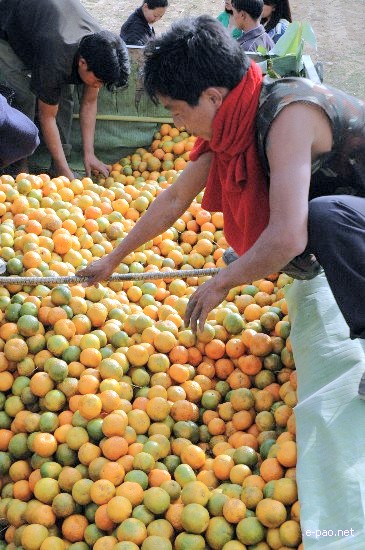 5th State Level Orange Festival 2008 :: Tamenglong