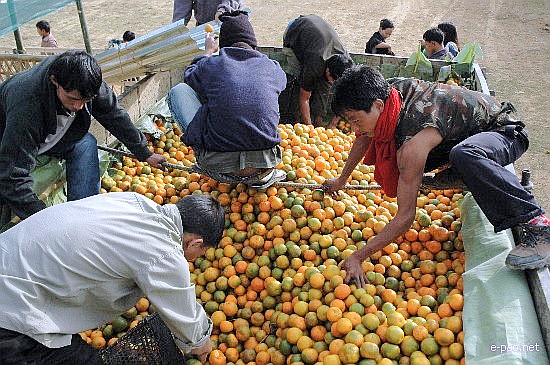 5th State Level Orange Festival 2008 :: Tamenglong