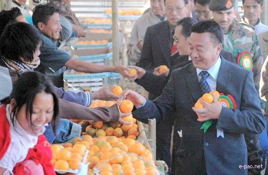 5th State Level Orange Festival 2008 :: Tamenglong