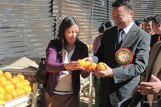 5th State Level Orange Festival 2008 :: Tamenglong