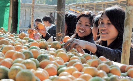 5th State Level Orange Festival 2008 :: Tamenglong