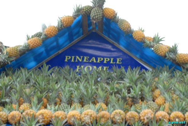 Pineapple Fair cum Youth Festival  :: June 29th to July 2nd 2009