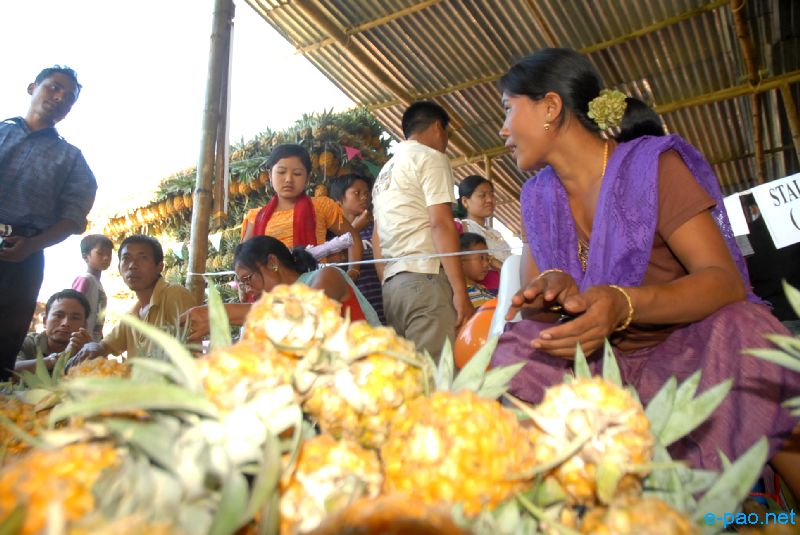 3 days Pineapple Festival at Andro :: July 13 2010