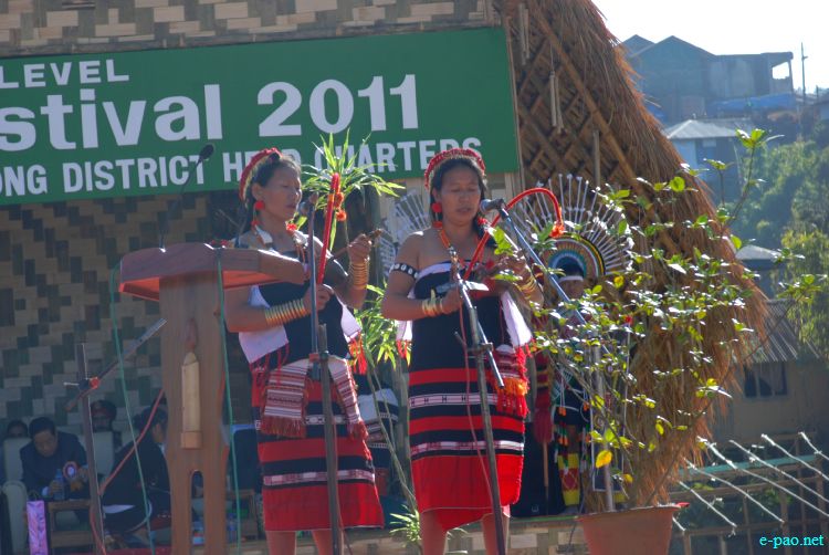 Zeliangrong Dance Presentation at 8th State Level Orange festival 2011 at Tamenglong :: 16 Dec 2011
