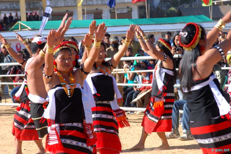 Zeliangrong Dance Presentation at 8th State Level Orange festival 2011 at Tamenglong :: 16 Dec 2011