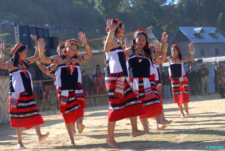Zeliangrong Dance Presentation at 8th State Level Orange festival 2011 at Tamenglong :: 16 Dec 2011