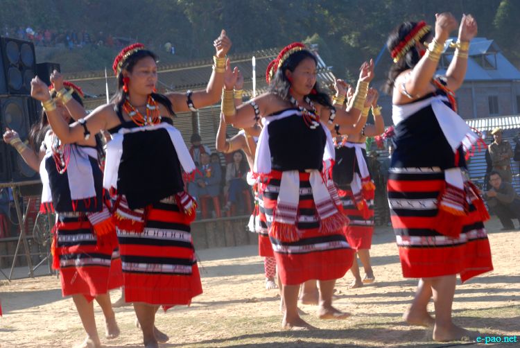 Zeliangrong Dance Presentation at 8th State Level Orange festival 2011 at Tamenglong :: 16 Dec 2011