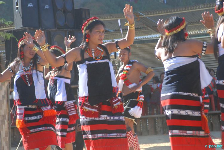 Zeliangrong Dance Presentation at 8th State Level Orange festival 2011 at Tamenglong :: 16 Dec 2011