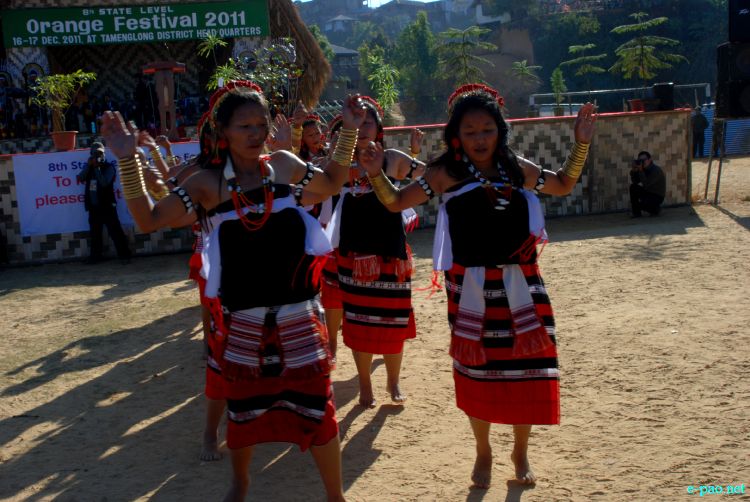 Zeliangrong Dance Presentation at 8th State Level Orange festival 2011 at Tamenglong :: 16 Dec 2011