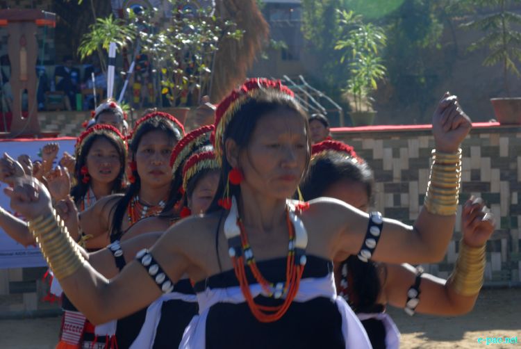 Zeliangrong Dance Presentation at 8th State Level Orange festival 2011 at Tamenglong :: 16 Dec 2011