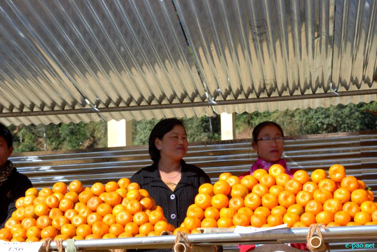 8th State Level Orange festival 2011 at Tamenglong :: 16 December 2011