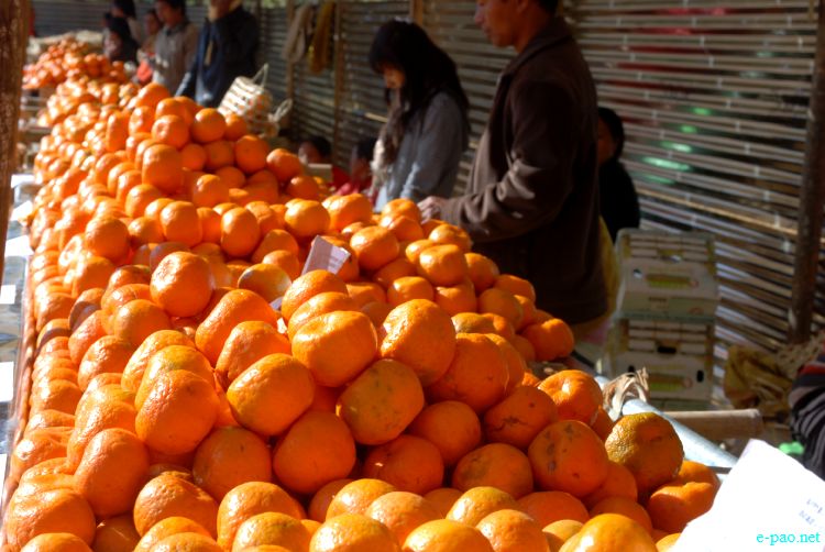 8th State Level Orange festival 2011 at Tamenglong :: 16 December 2011