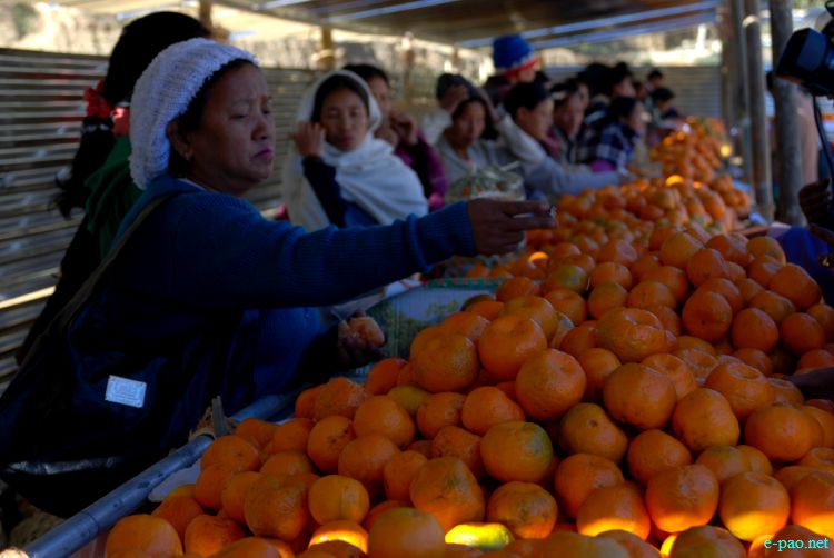 8th State Level Orange festival 2011 at Tamenglong :: 16 December 2011