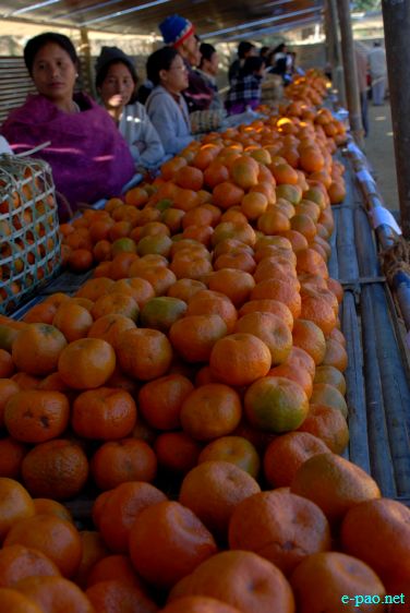 8th State Level Orange festival 2011 at Tamenglong :: 16 December 2011