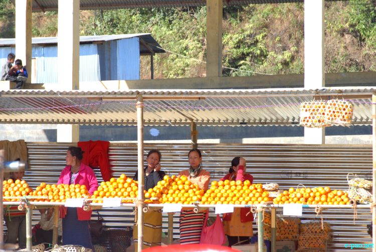 8th State Level Orange festival 2011 at Tamenglong :: 16 December 2011
