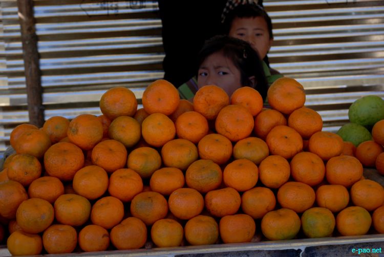 8th State Level Orange festival 2011 at Tamenglong :: 16 December 2011