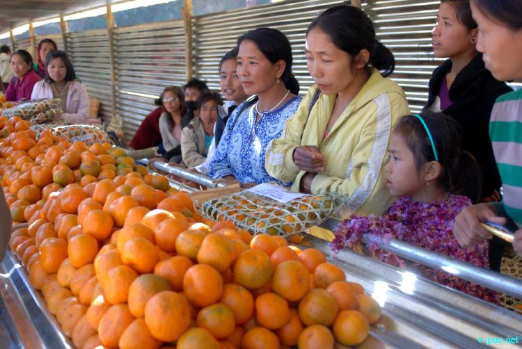 8th State Level Orange festival 2011 at Tamenglong :: 16 December 2011