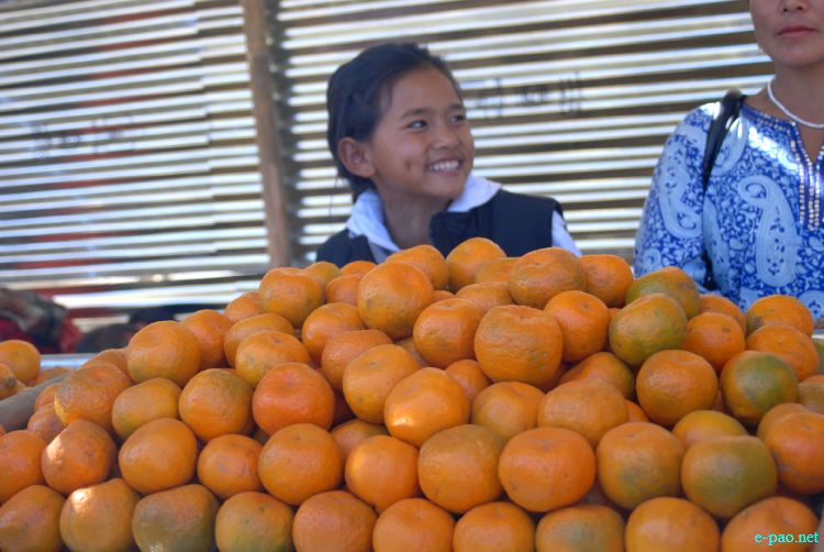 8th State Level Orange festival 2011 at Tamenglong :: 16 December 2011